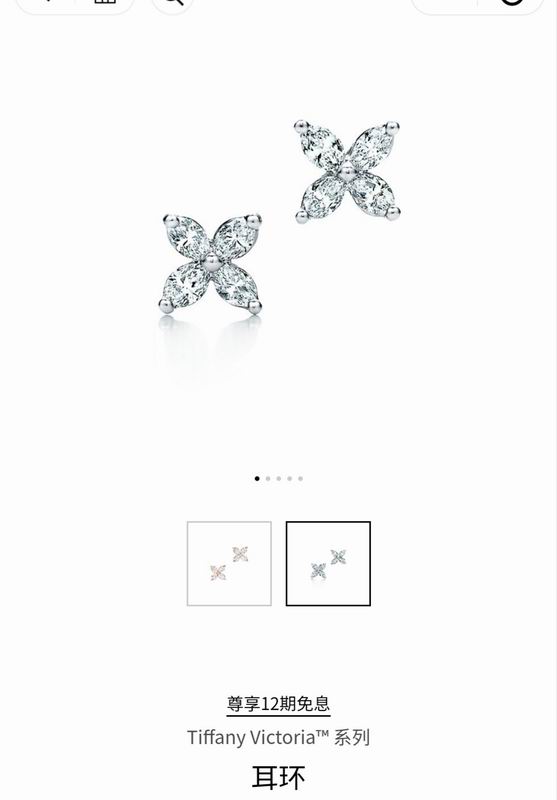 Tiffany earring 04lyx42